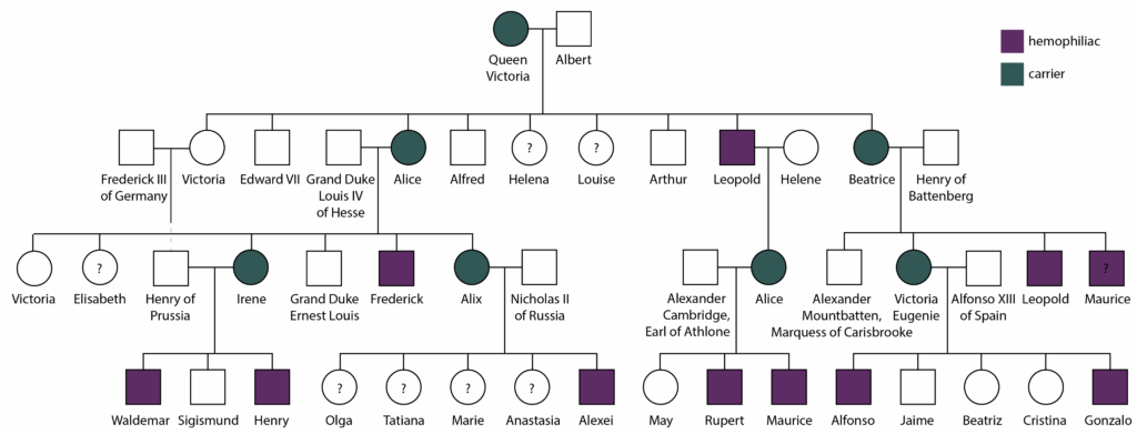 Pedigree Worksheet Interpreting A Human Pedigree Answers Thekidsworksheet
