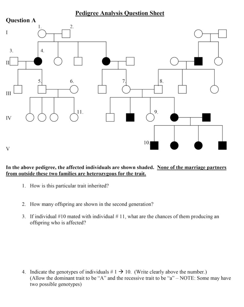 Pedigree Worksheets