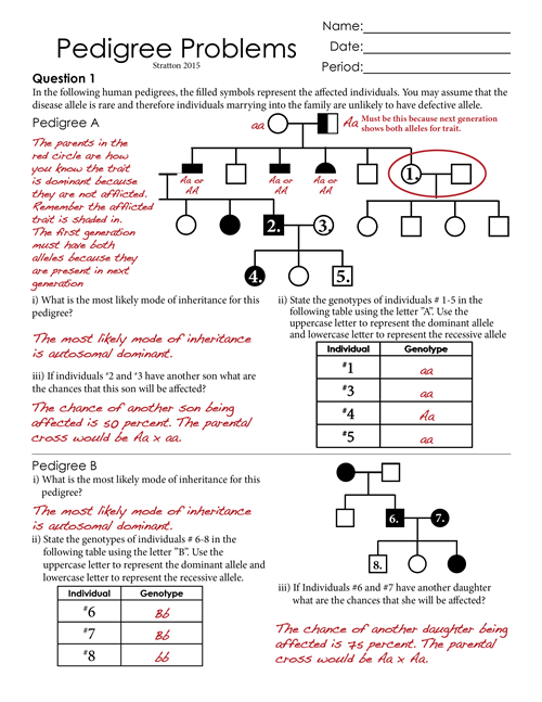 Pedigree Worksheets Answer Key