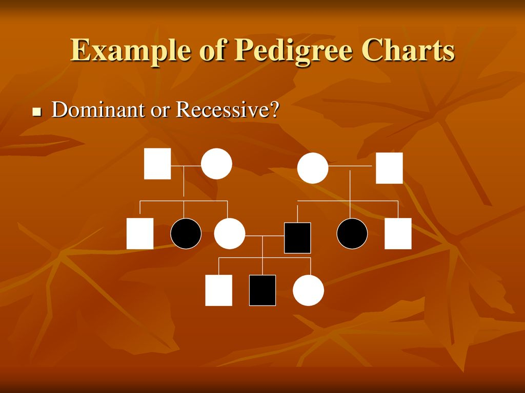 Pedigrees Biology Ppt Download