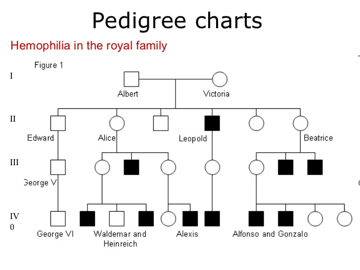 Pedigrees Mr Powell Science