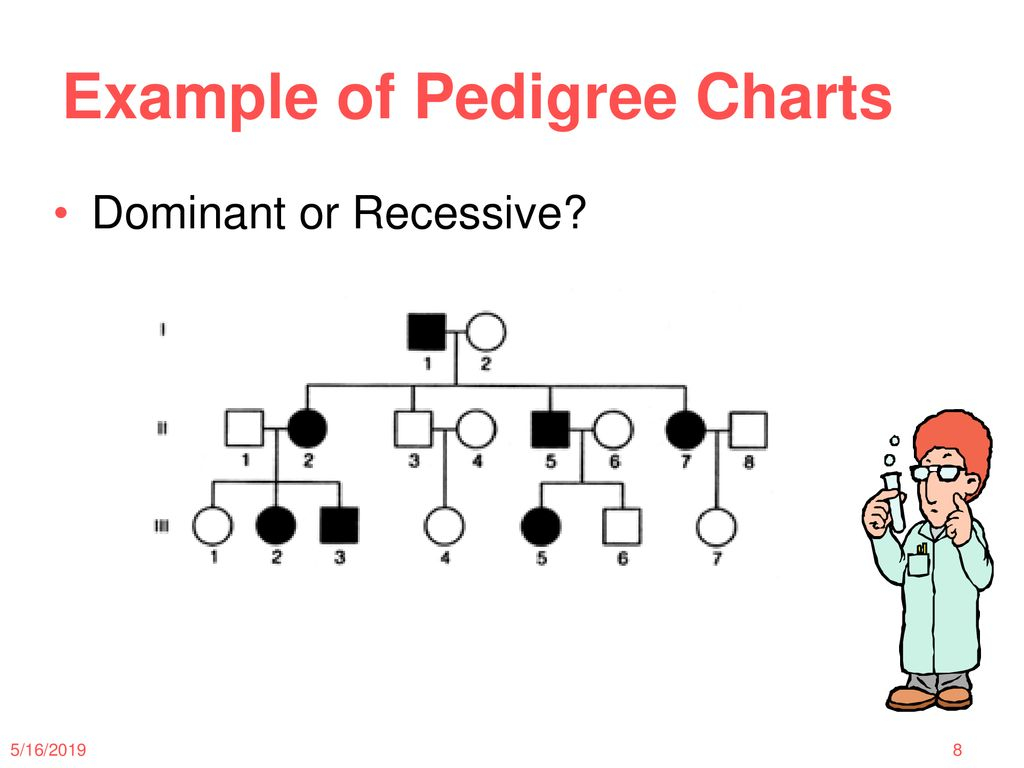 Pedigrees Ppt Download