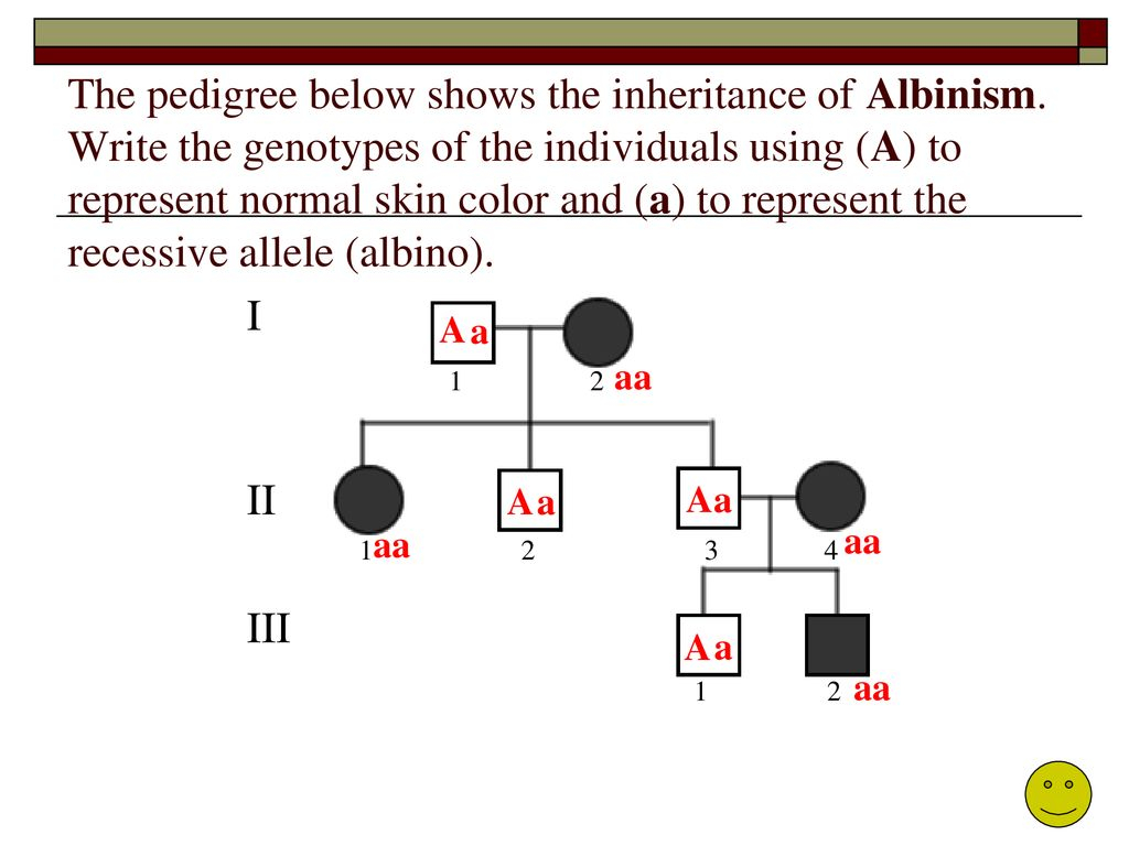 PEDIGREES Ppt Download