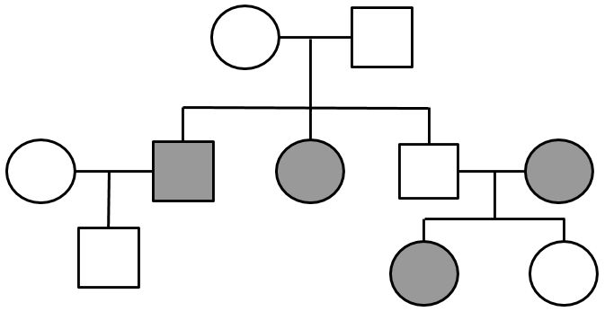 Pedigrees Practice Pedigrees Practice Human Genetic Disorders
