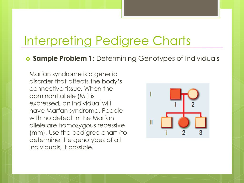 Pedigrees Tracking Inheritance Ppt Download