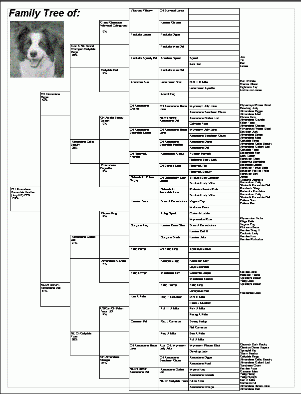Pedigrees