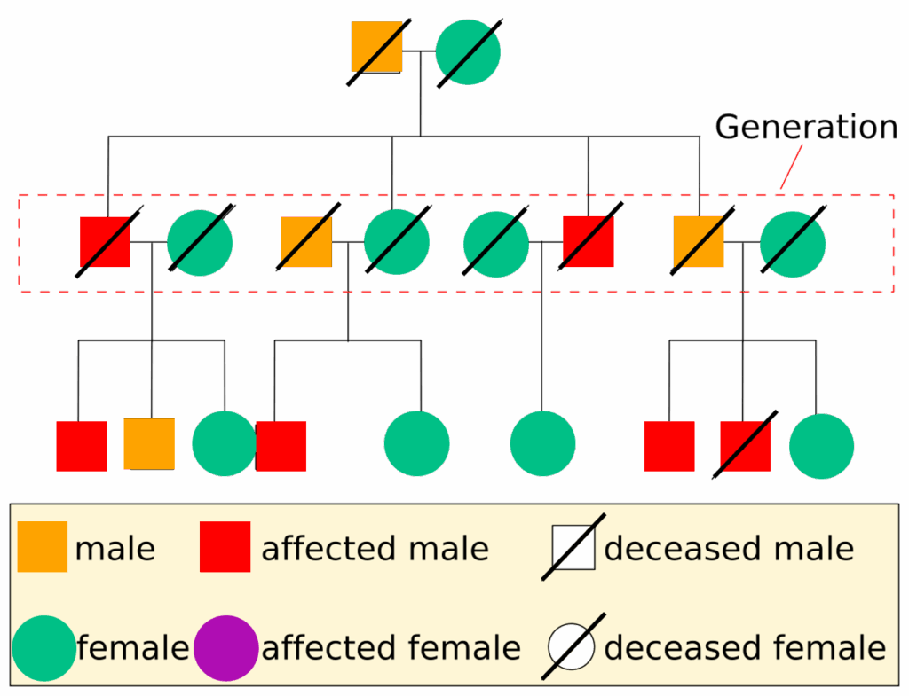 Phenotype Definition Overview Expii