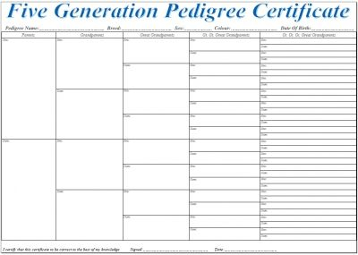 Pin On Pedigrees