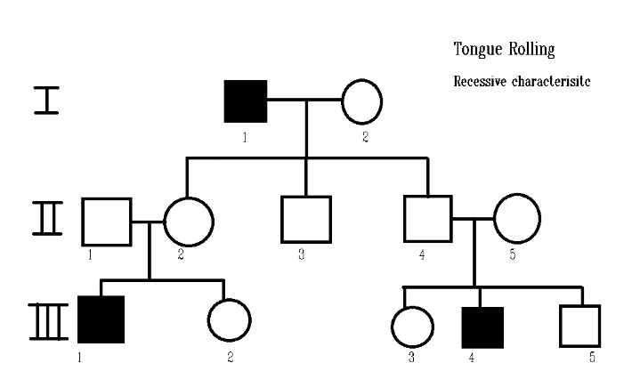 Please Explain The Pedigree Analysis Of Tongue Rolling With A Full 