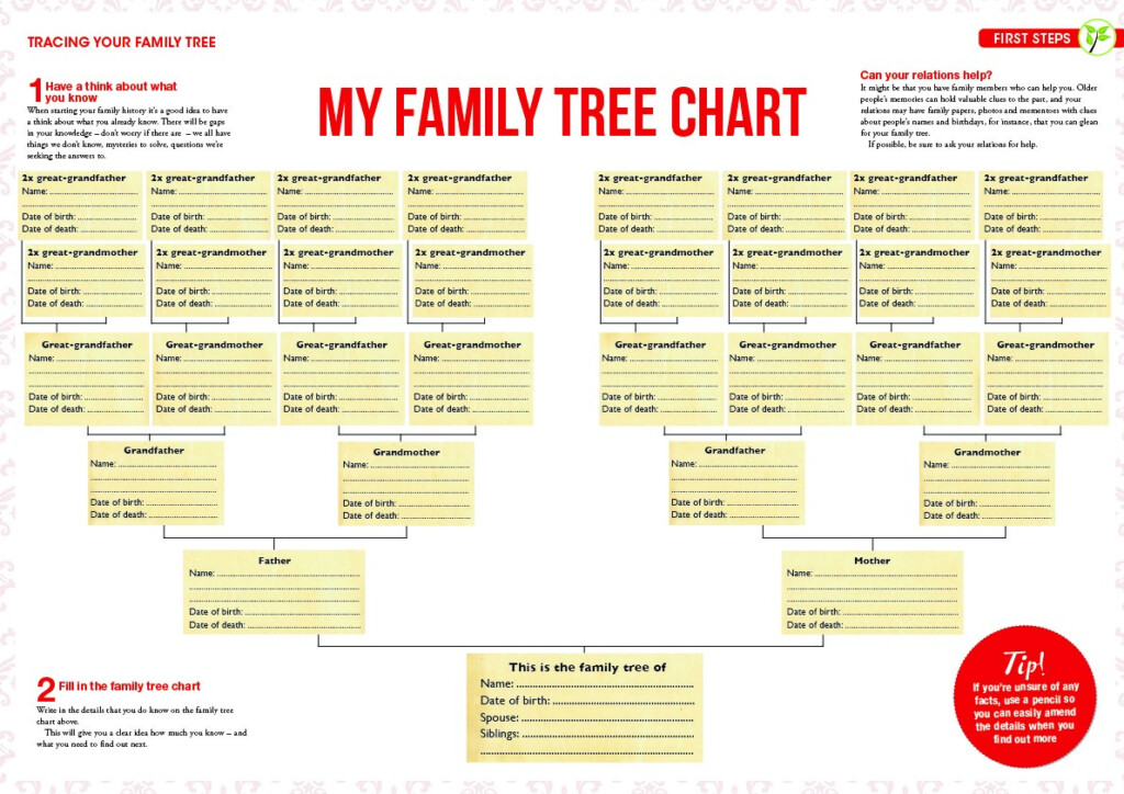 Poster Size Family Tree Chart
