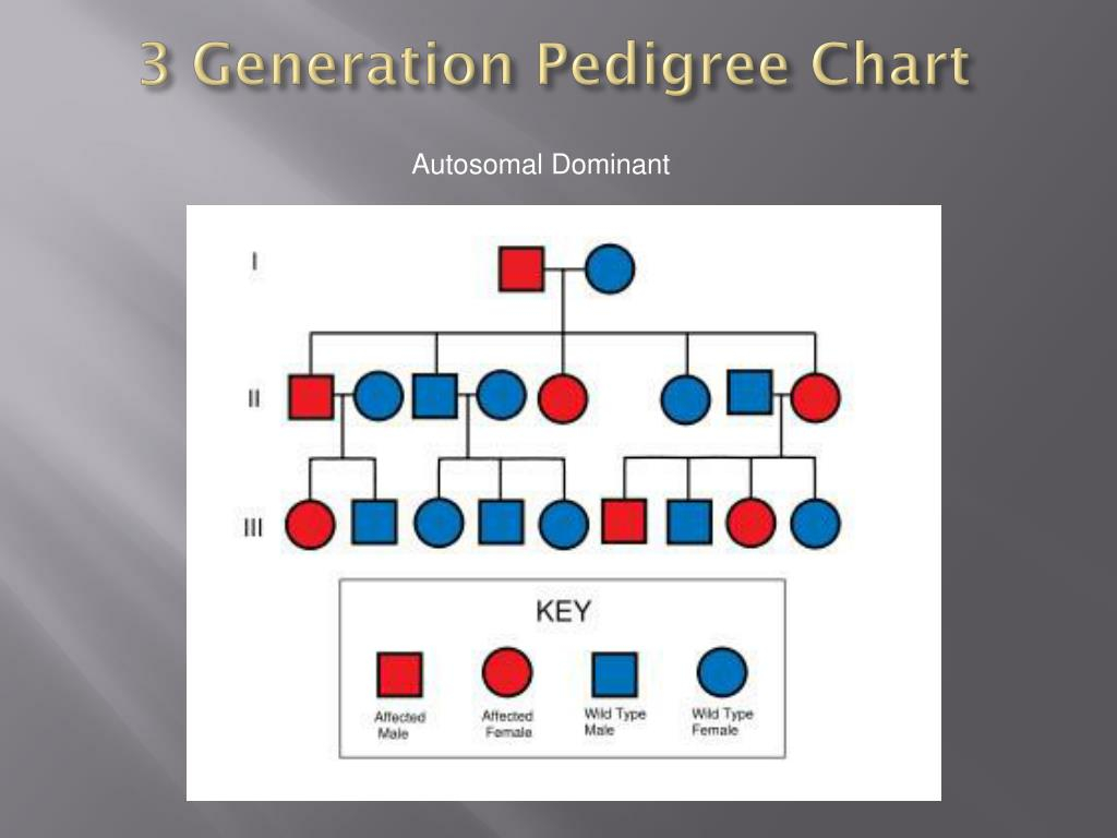 PPT Alzheimer s Disease PowerPoint Presentation Free Download ID 