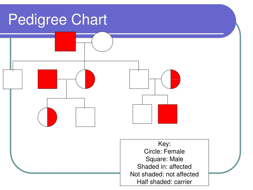 PPT Hemophilia PowerPoint Presentation Free Download ID 5524197