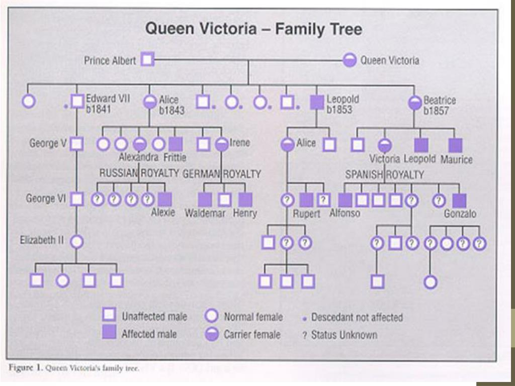 PPT Hemophilia Royal Disease PowerPoint Presentation Free Download 