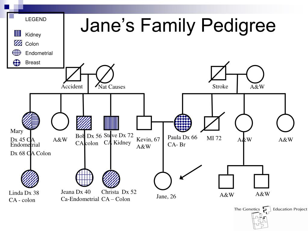 PPT Hereditary Colorectal Cancer PowerPoint Presentation Free 