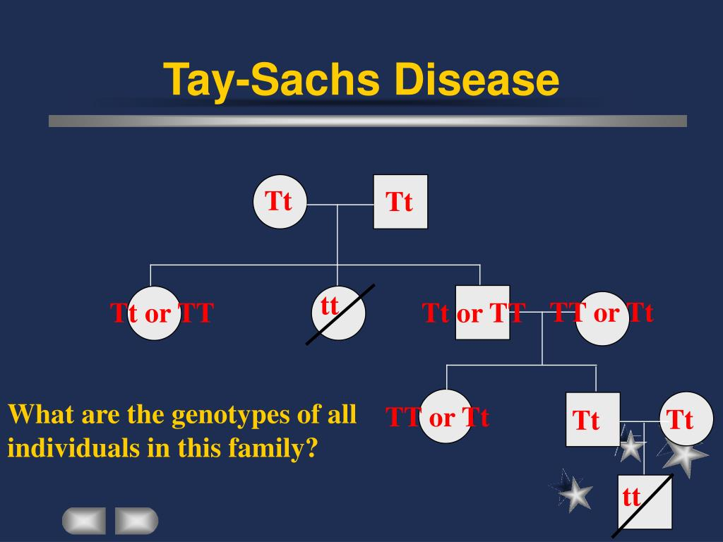 PPT Human Pedigree And Genetic Disease PowerPoint Presentation Free 