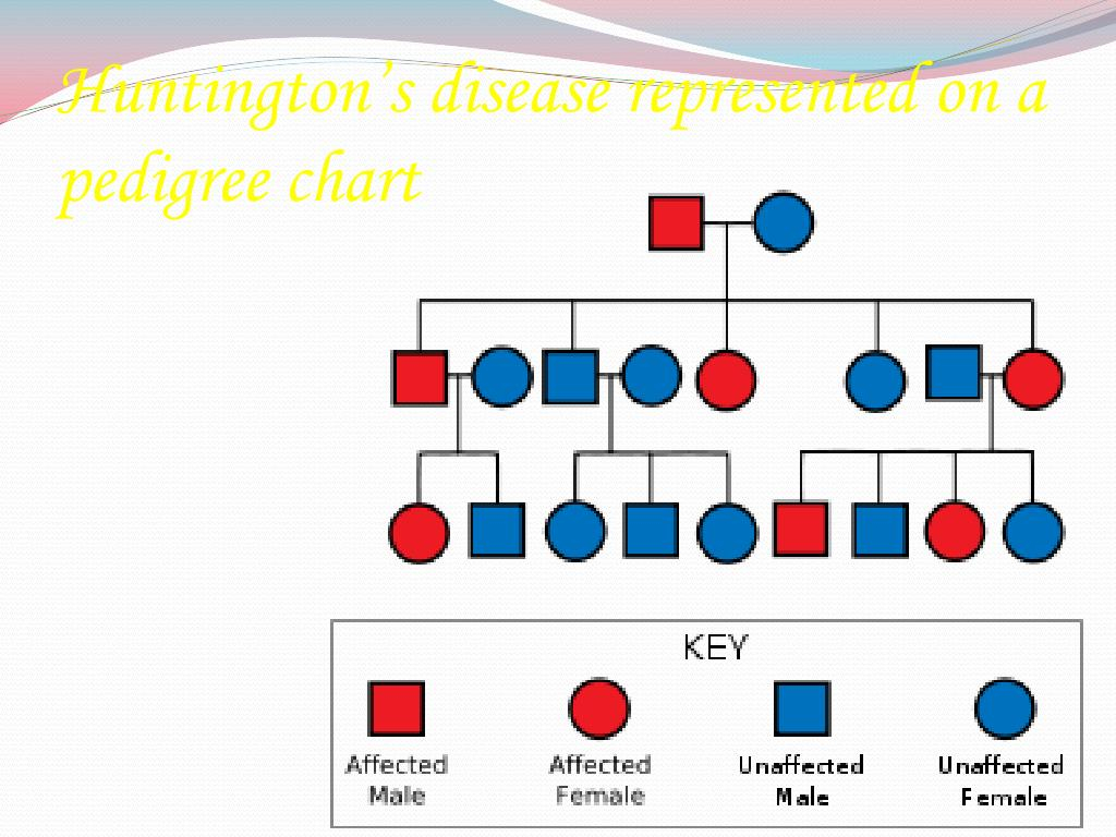 PPT Huntington 39 s Disease PowerPoint Presentation Free Download ID 