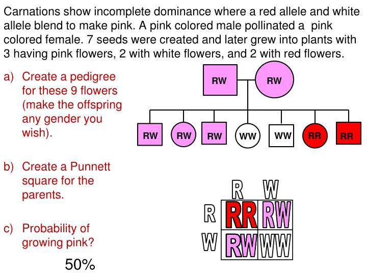 PPT Incomplete Dominance Codominance PowerPoint Presentation ID 