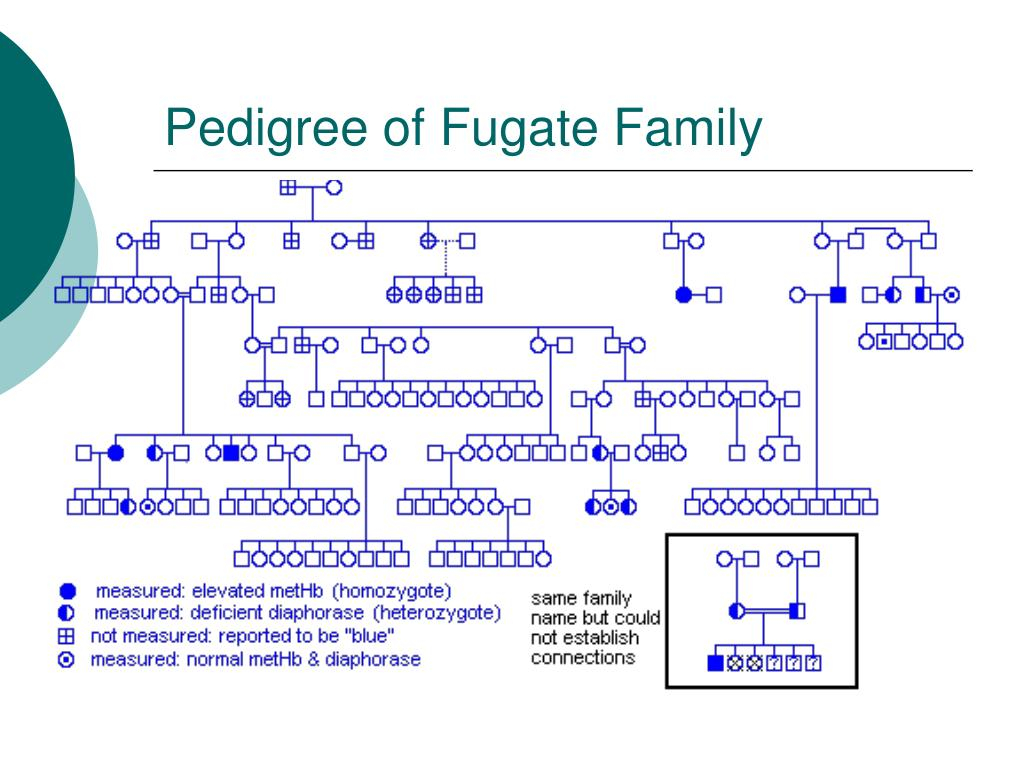 PPT Methemoglobinemia The Real Cause Of The Blue People Of Kentucky 