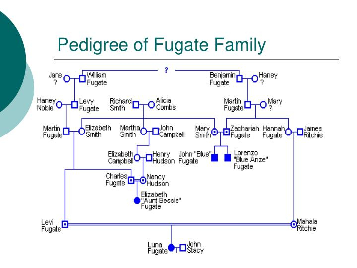 PPT Methemoglobinemia The Real Cause Of The Blue People Of Kentucky 
