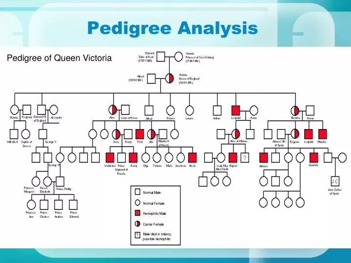 PPT Pedigree Analysis PowerPoint Presentation ID 2680937