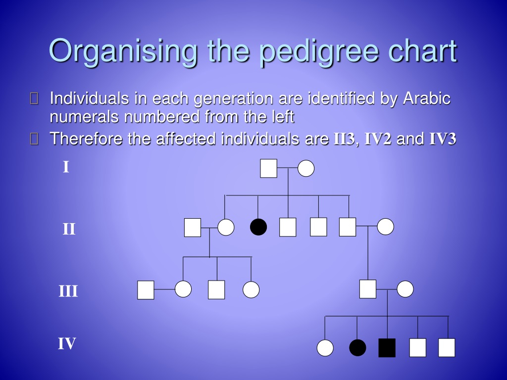 PPT Pedigree Charts Genetics Family Tree Analysis PowerPoint 
