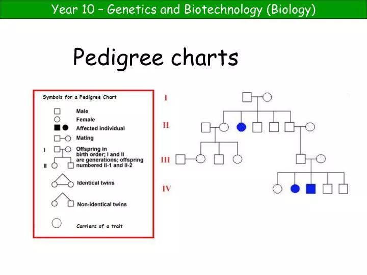 PPT Pedigree Charts PowerPoint Presentation Free Download ID 1080022