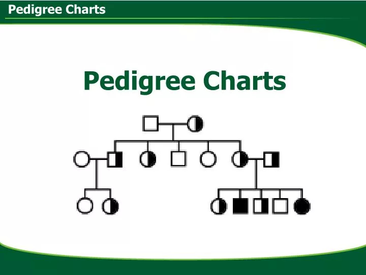 PPT Pedigree Charts PowerPoint Presentation Free Download ID 2680902