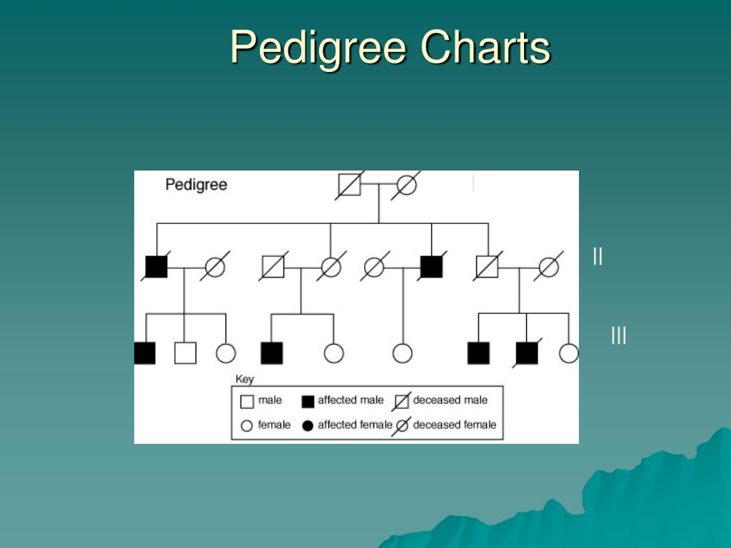 PPT Pedigree Charts PowerPoint Presentation Free Download ID 3223311