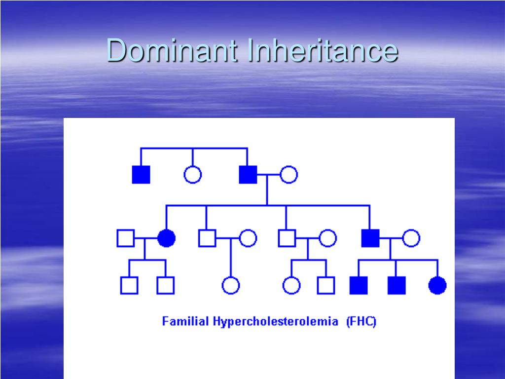 PPT Pedigree Charts PowerPoint Presentation Free Download ID 340435