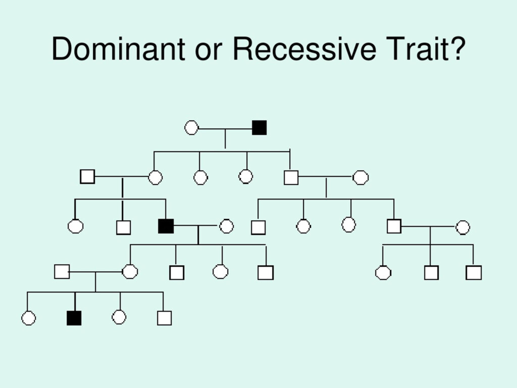 PPT Pedigree Charts PowerPoint Presentation Free Download ID 9189040