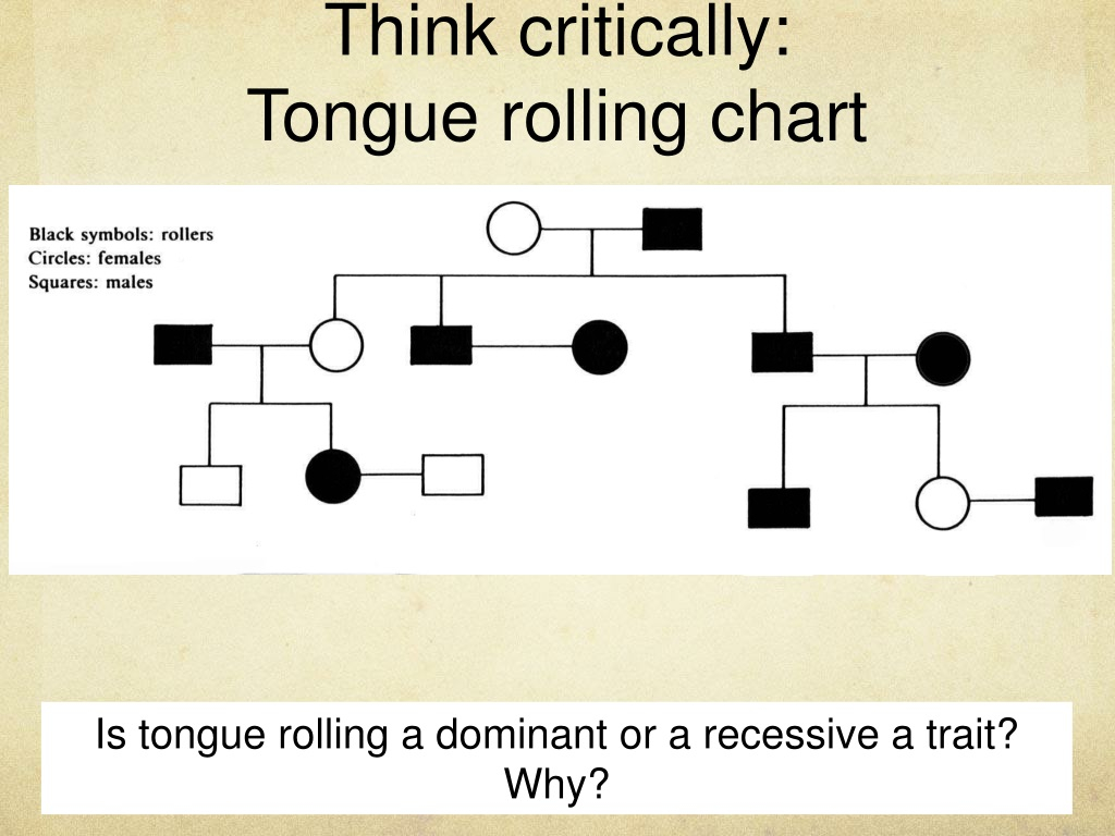PPT PEDIGREE CHARTS PowerPoint Presentation Free Download ID 9298571
