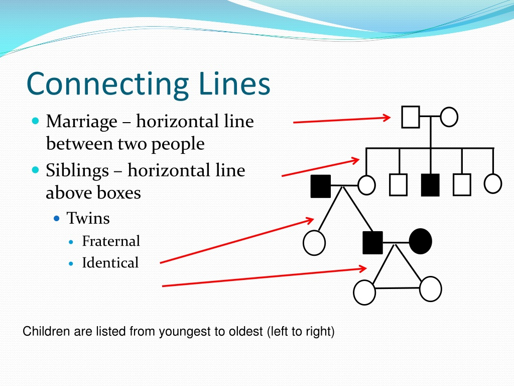 PPT PEDIGREE CHARTS PowerPoint Presentation Free Download ID 9634020
