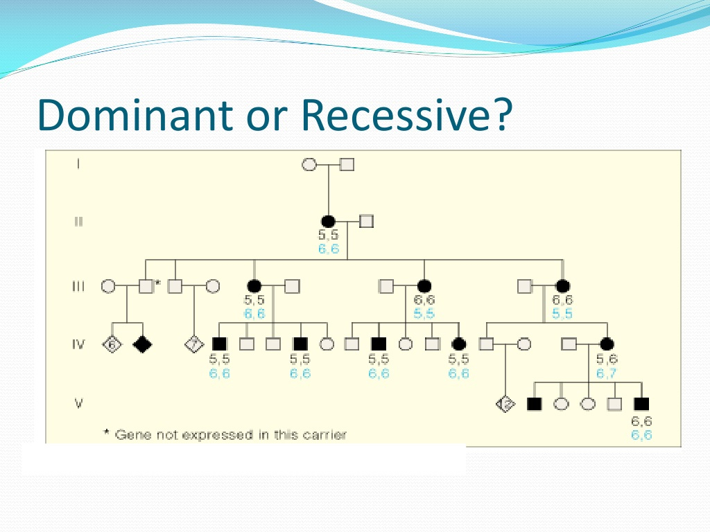 PPT PEDIGREE CHARTS PowerPoint Presentation Free Download ID 9634020