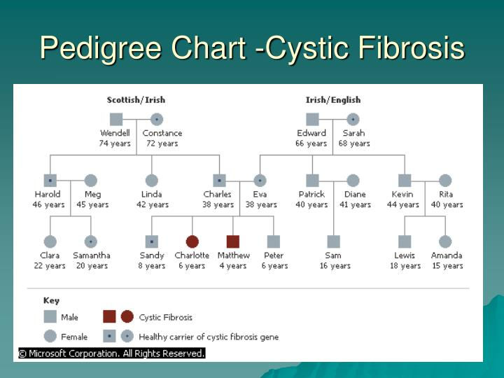 PPT Pedigree Charts PowerPoint Presentation ID 3223311