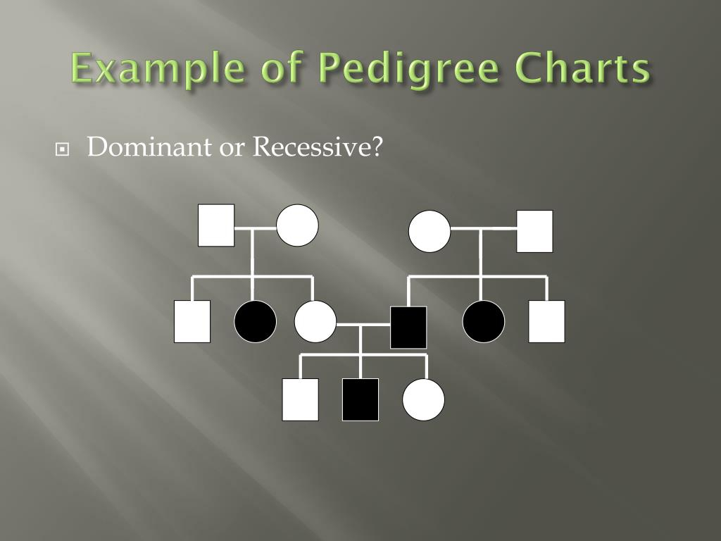 PPT Pedigrees PowerPoint Presentation Free Download ID 2680957