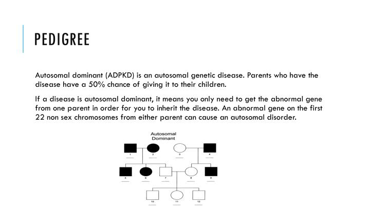 PPT Polycystic Kidney Disease PKD PowerPoint Presentation ID 2721580