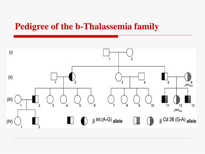 PPT Reverse Dot Blot For Human Mutation Detection PowerPoint 