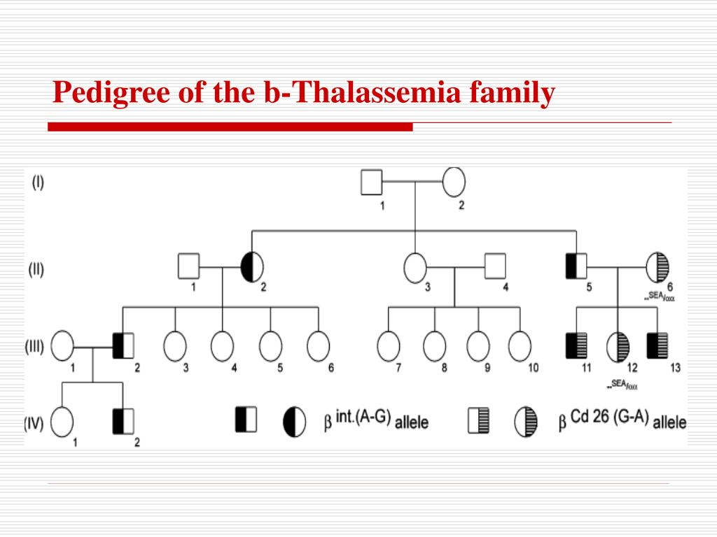 PPT Reverse Dot Blot For Human Mutation Detection PowerPoint 