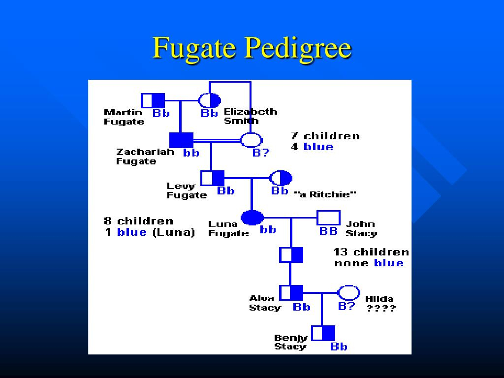PPT The Blue People Of Troublesome Creek PowerPoint Presentation 
