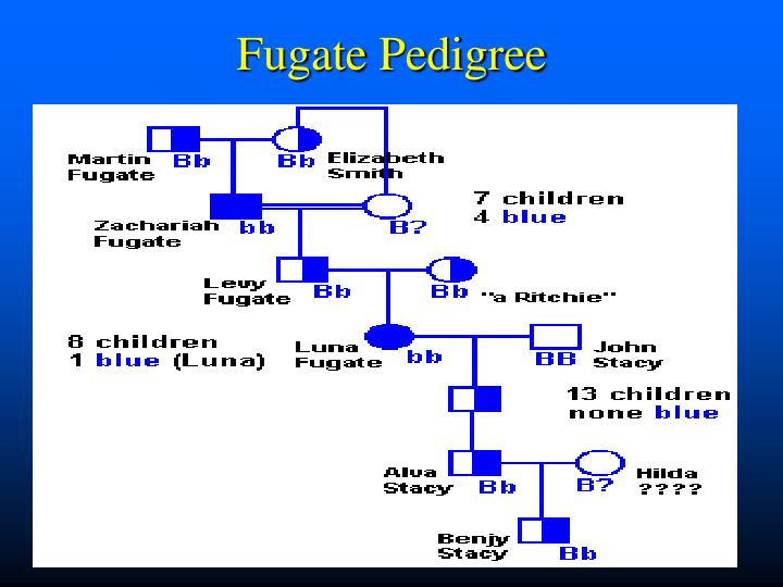PPT The Blue People Of Troublesome Creek PowerPoint Presentation ID 