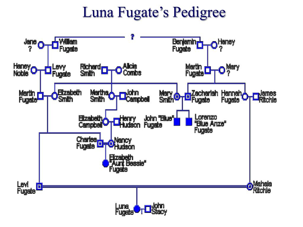PPT The Blue People Of Troublesome Creek PowerPoint Presentation 