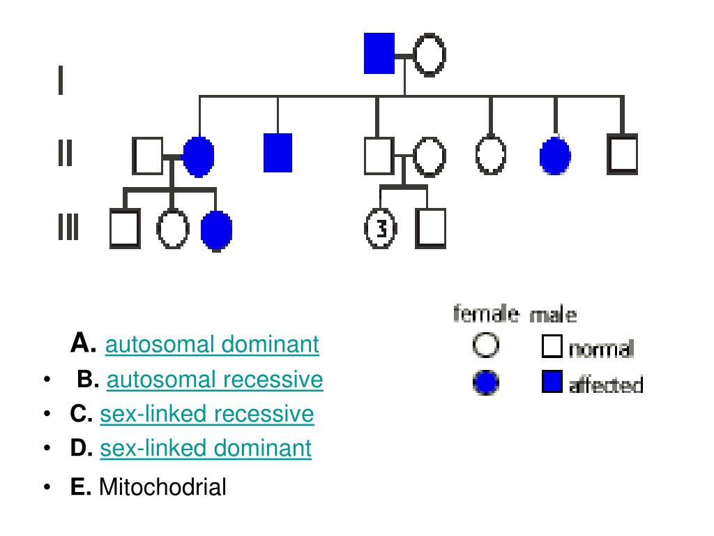 PPT THE STEPS WHEN INTERPRETING A PEDIGREE CHART PowerPoint 