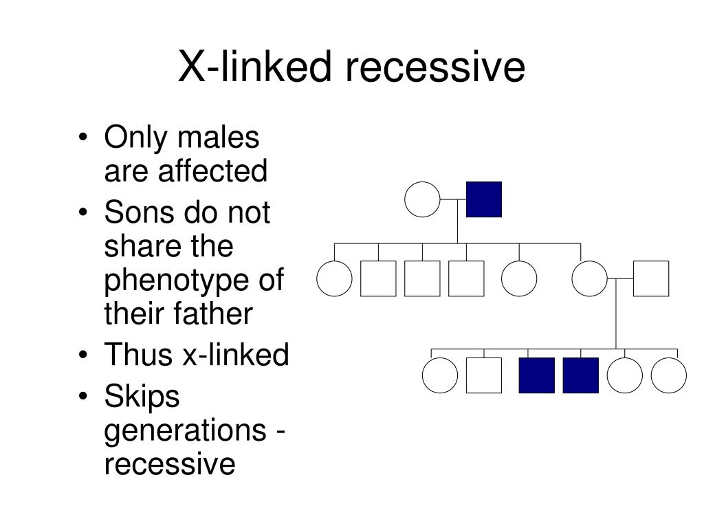 PPT THE STEPS WHEN INTERPRETING A PEDIGREE CHART PowerPoint 