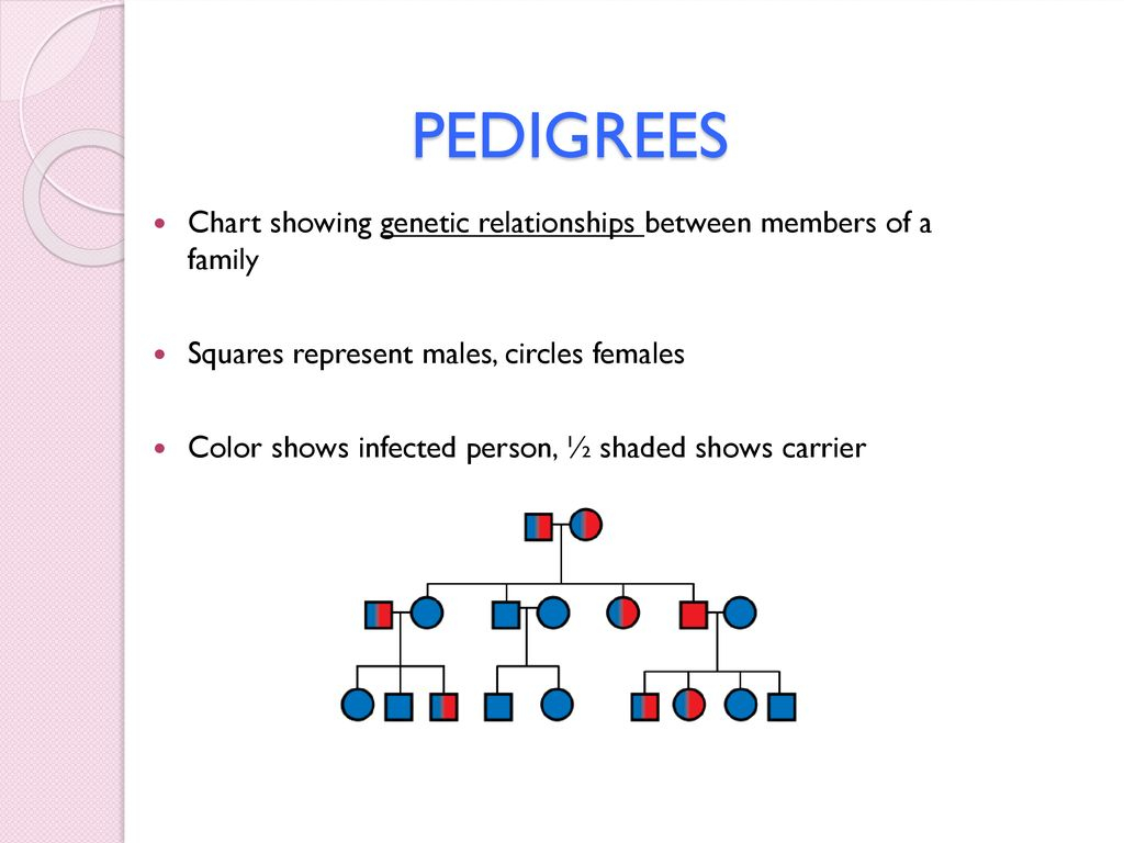 Prader Willi Syndrome Pedigree Chart Ponasa