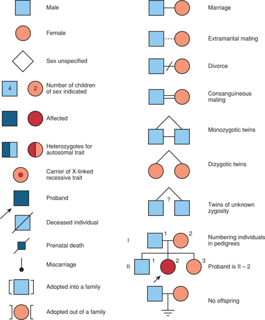 Preconceptional Counseling Obgyn Key