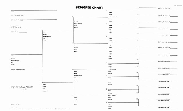Printable 6 Generation Pedigree Chart Family Tree Pedigree Chart