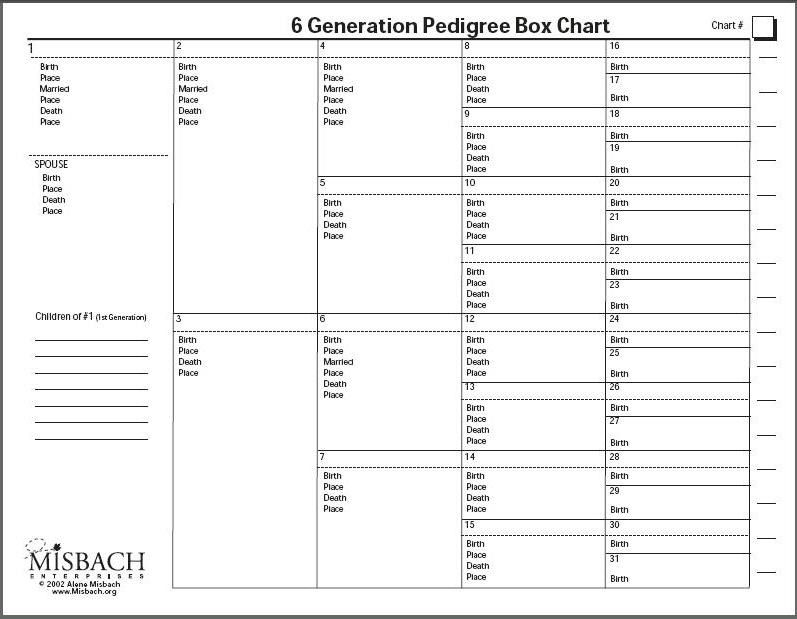 Printable Blank Dog Pedigree Chart To Print Japanesejaf
