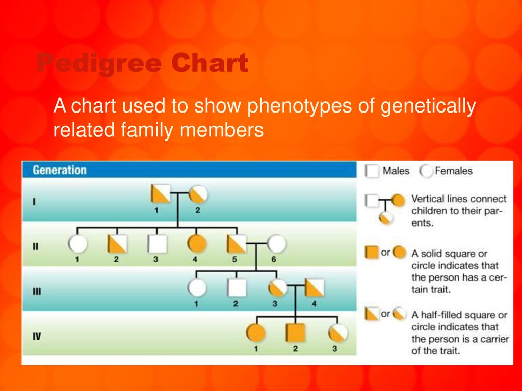 Probability Heredity Ppt Download