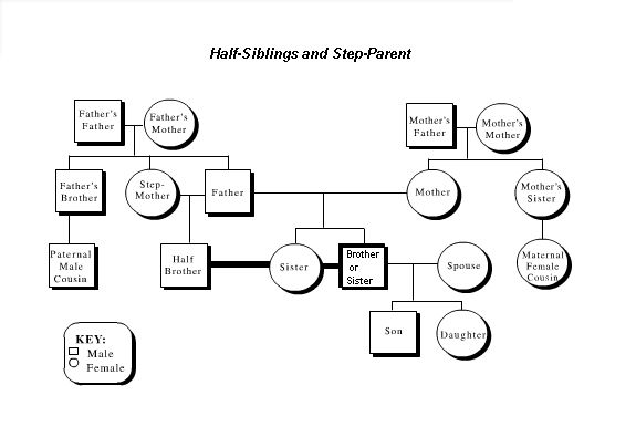 Putting Those Half Siblings On A Family Tree FamilyTree Half 