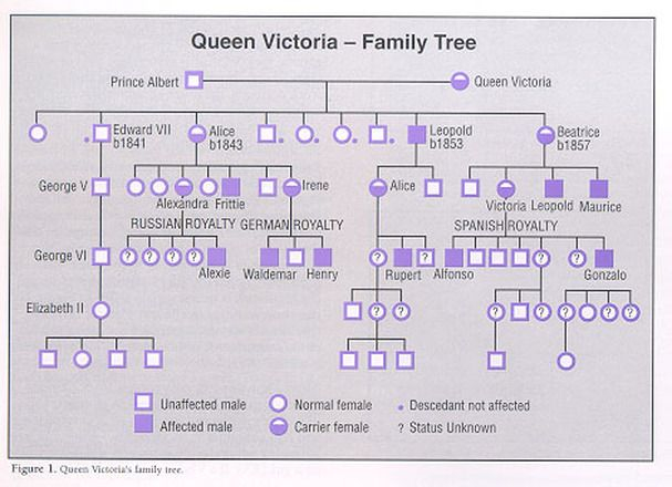 Queen Victoria And Hemophilia Family Tree